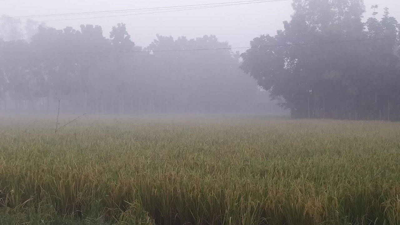 পঞ্চগড়ের তাপমাত্রা নামল ১২ ডিগ্রিতে